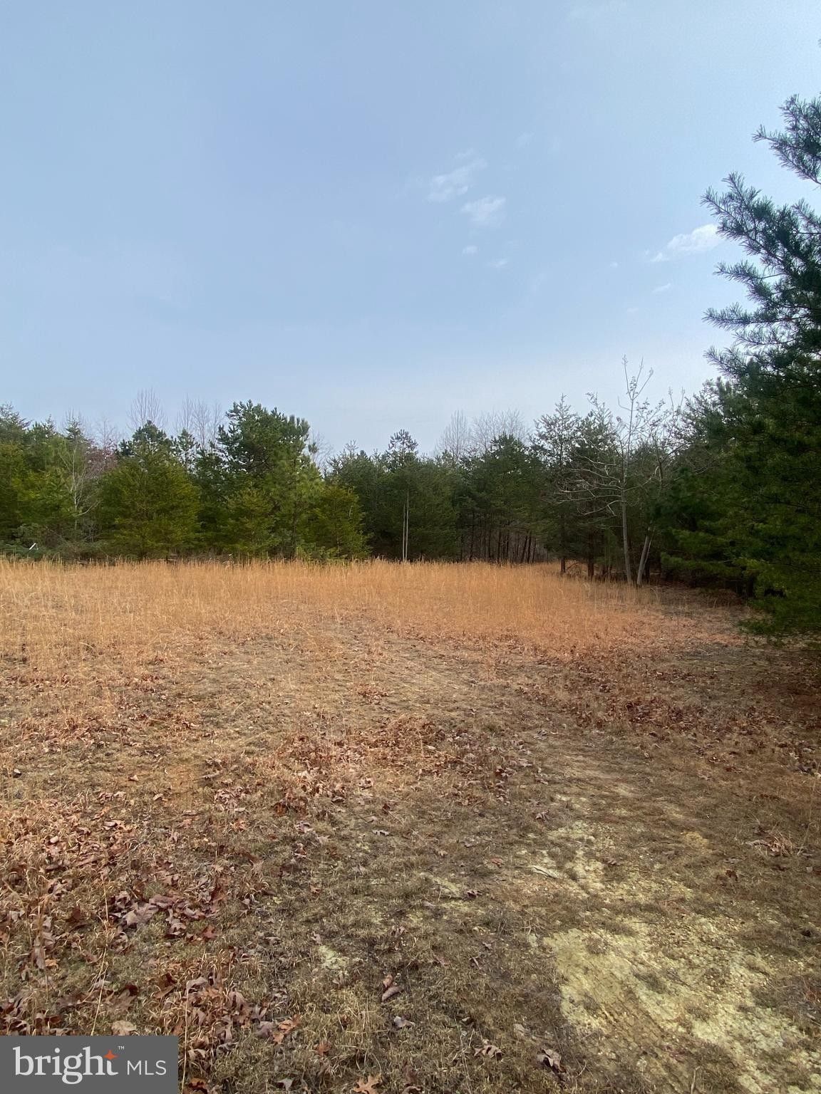 Gordonsville, Louisa County, VA Undeveloped Land for sale Property ID