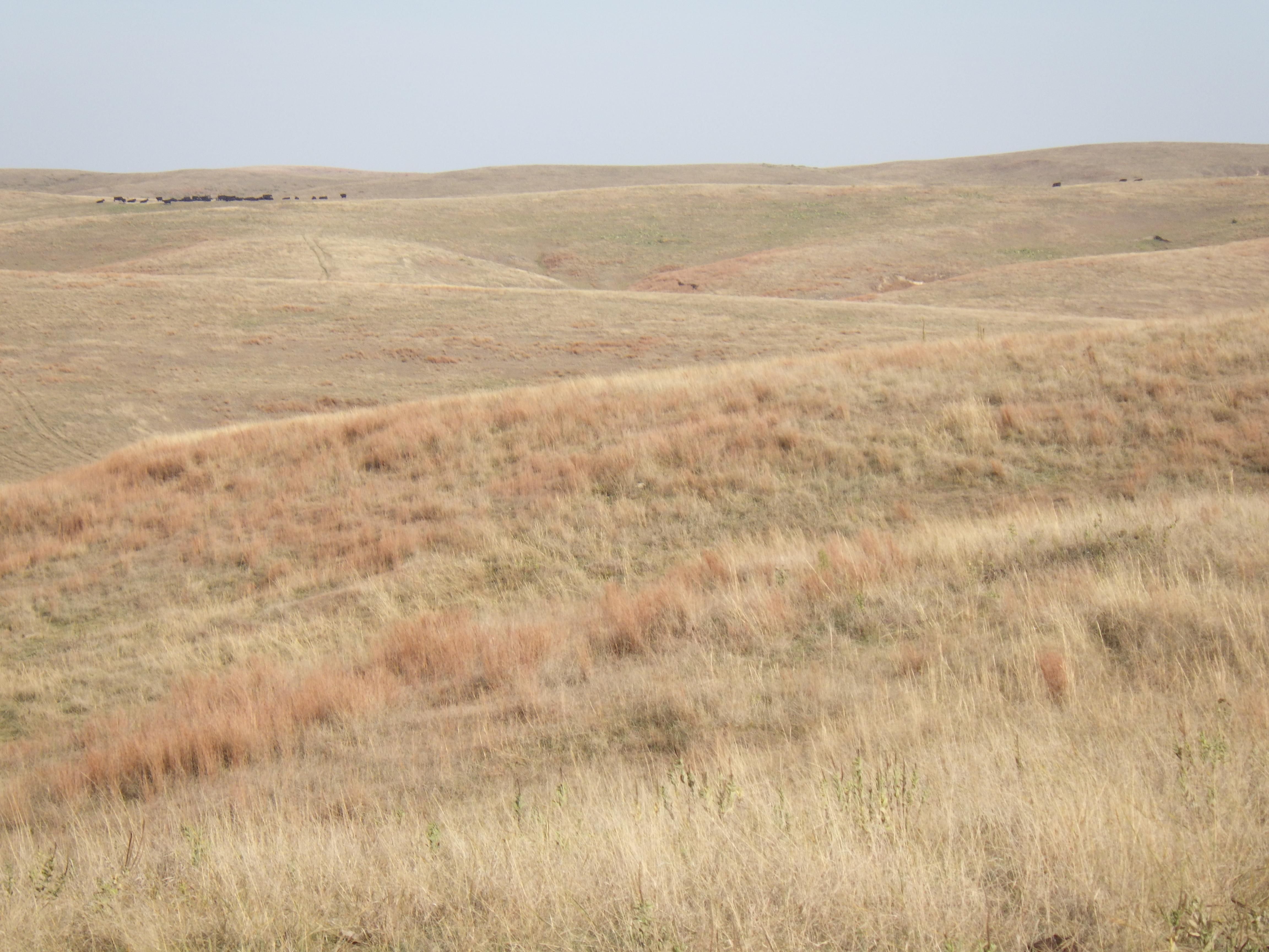 Pleasanton, Buffalo County, NE Farms and Ranches for sale Property ID