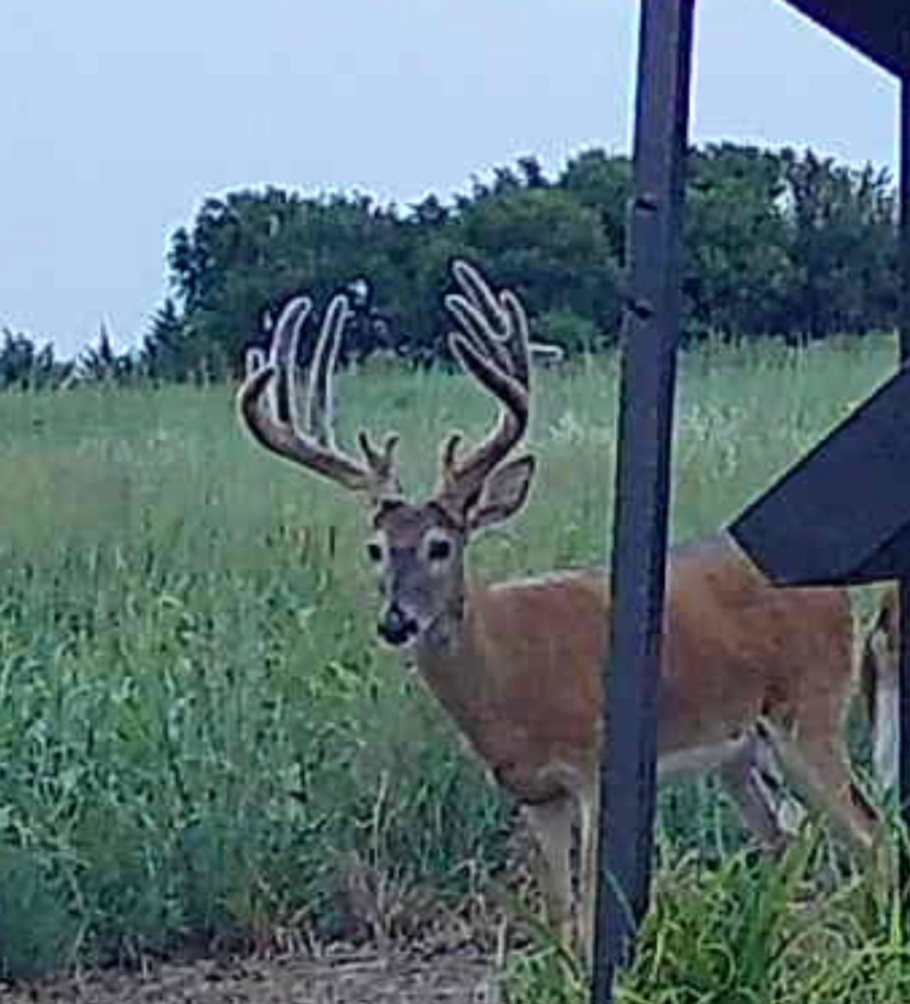 Alden, Rice County, KS Farms and Ranches, Recreational Property
