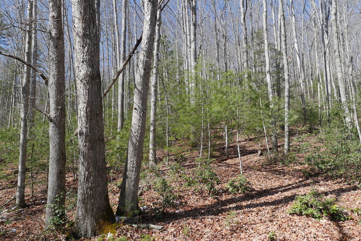 Jeb Stuart Highway, LotWP001, Damascus, VA 24236 LandWatch