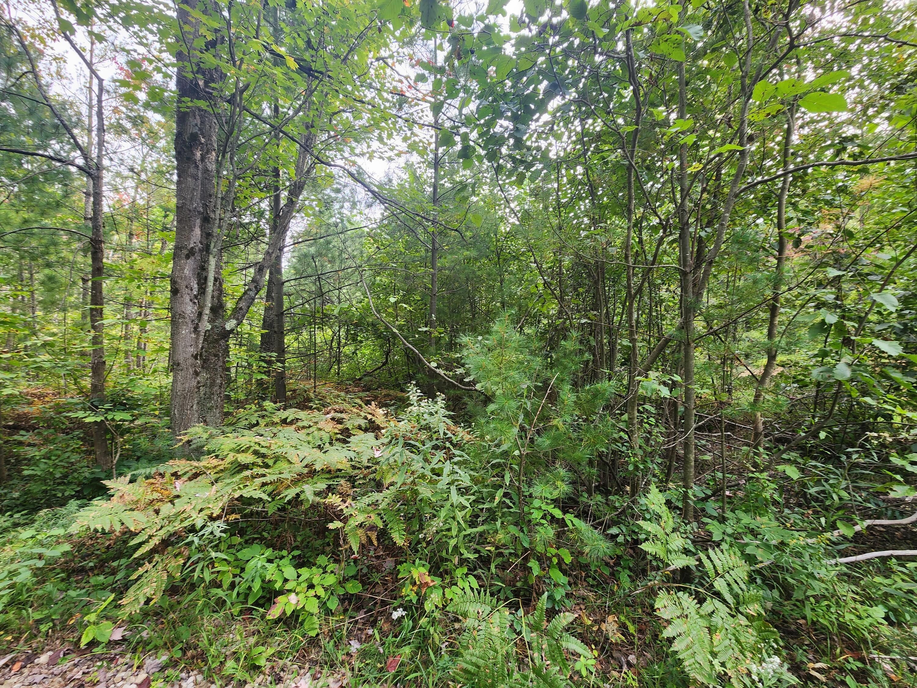 Spruce, Alcona County, MI Undeveloped Land for sale Property ID