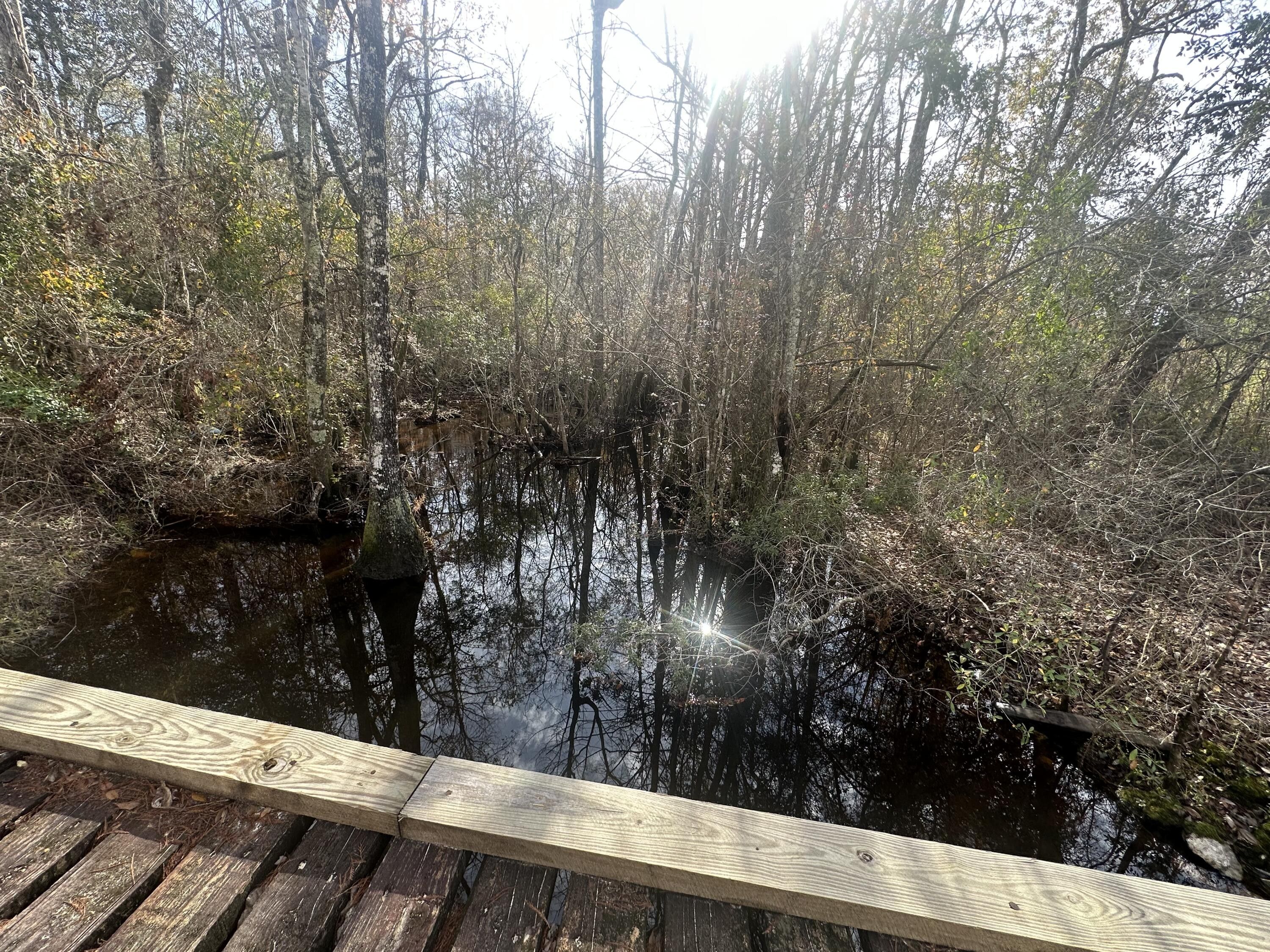 Bonifay, Holmes County, FL Undeveloped Land, Lakefront Property