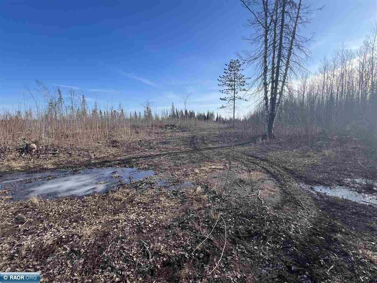 Eveleth, Saint Louis County, MN Undeveloped Land for sale Property ID