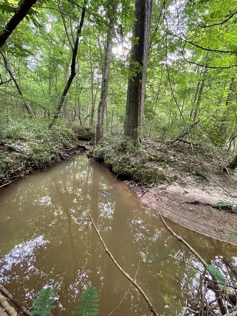 Hazlehurst, Copiah County, MS Undeveloped Land for sale Property ID