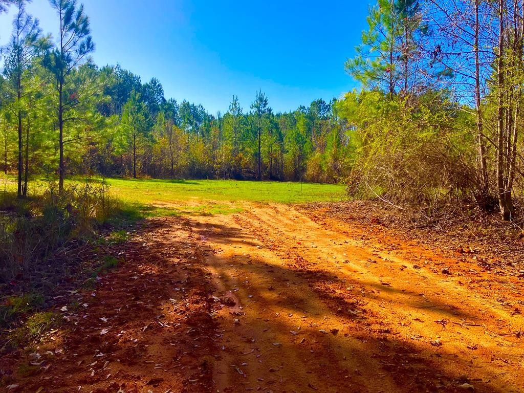 64 Stoneybrook Trl, Bogue Chitto, MS 39629 MLS 140497 LandWatch