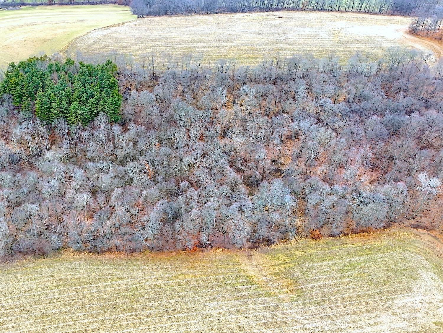 Glenmont, Knox County, OH Farms and Ranches, Timberland Property