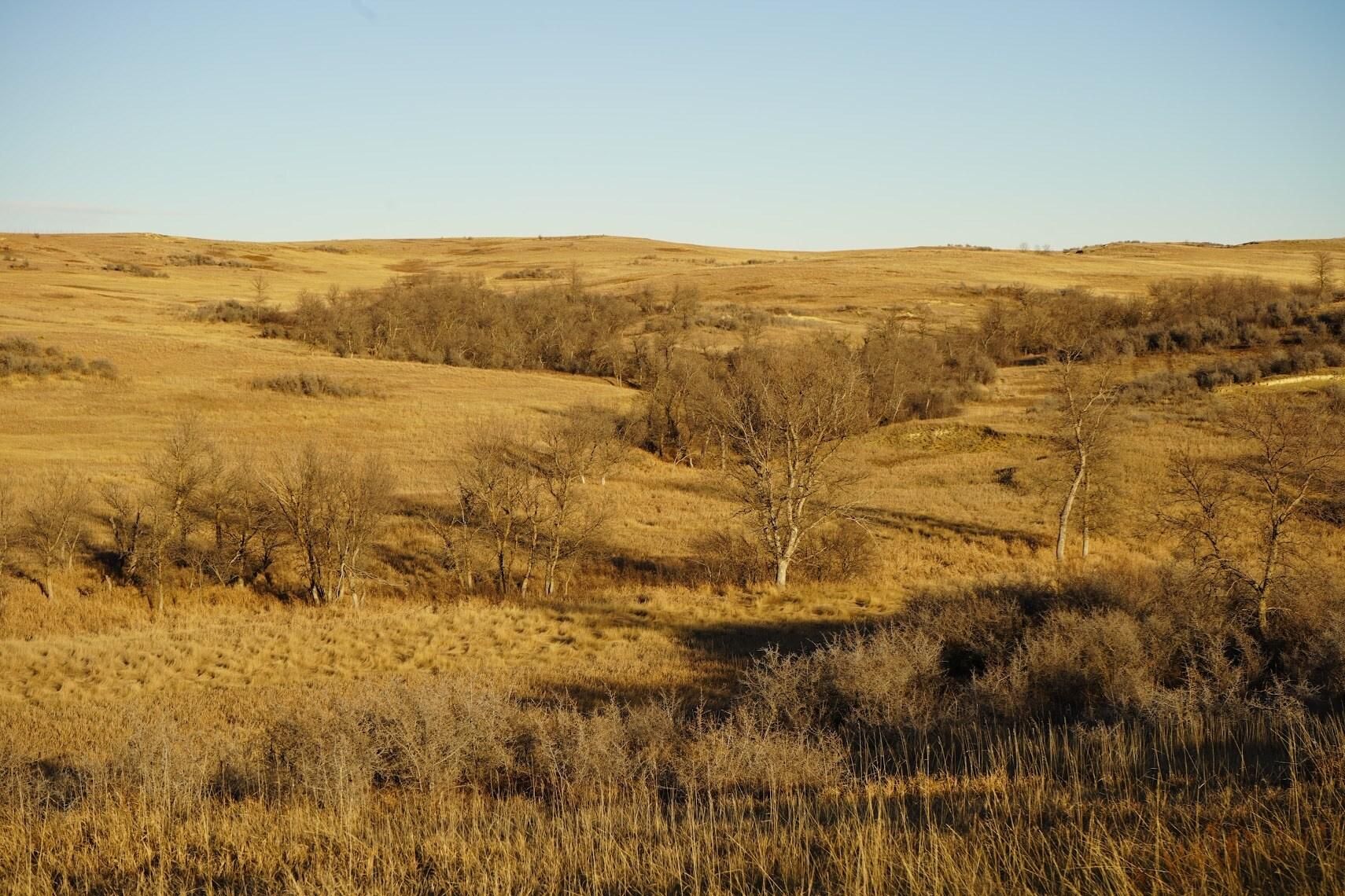 1,275.88 acres in Wibaux, MT, 59353 LandWatch