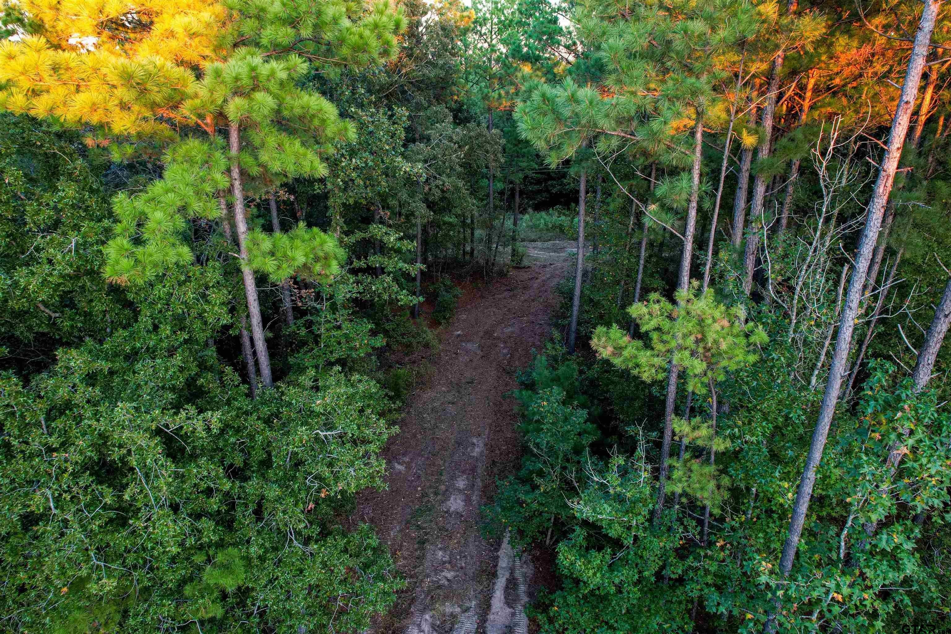 Gilmer, Upshur County, TX Undeveloped Land for sale Property ID