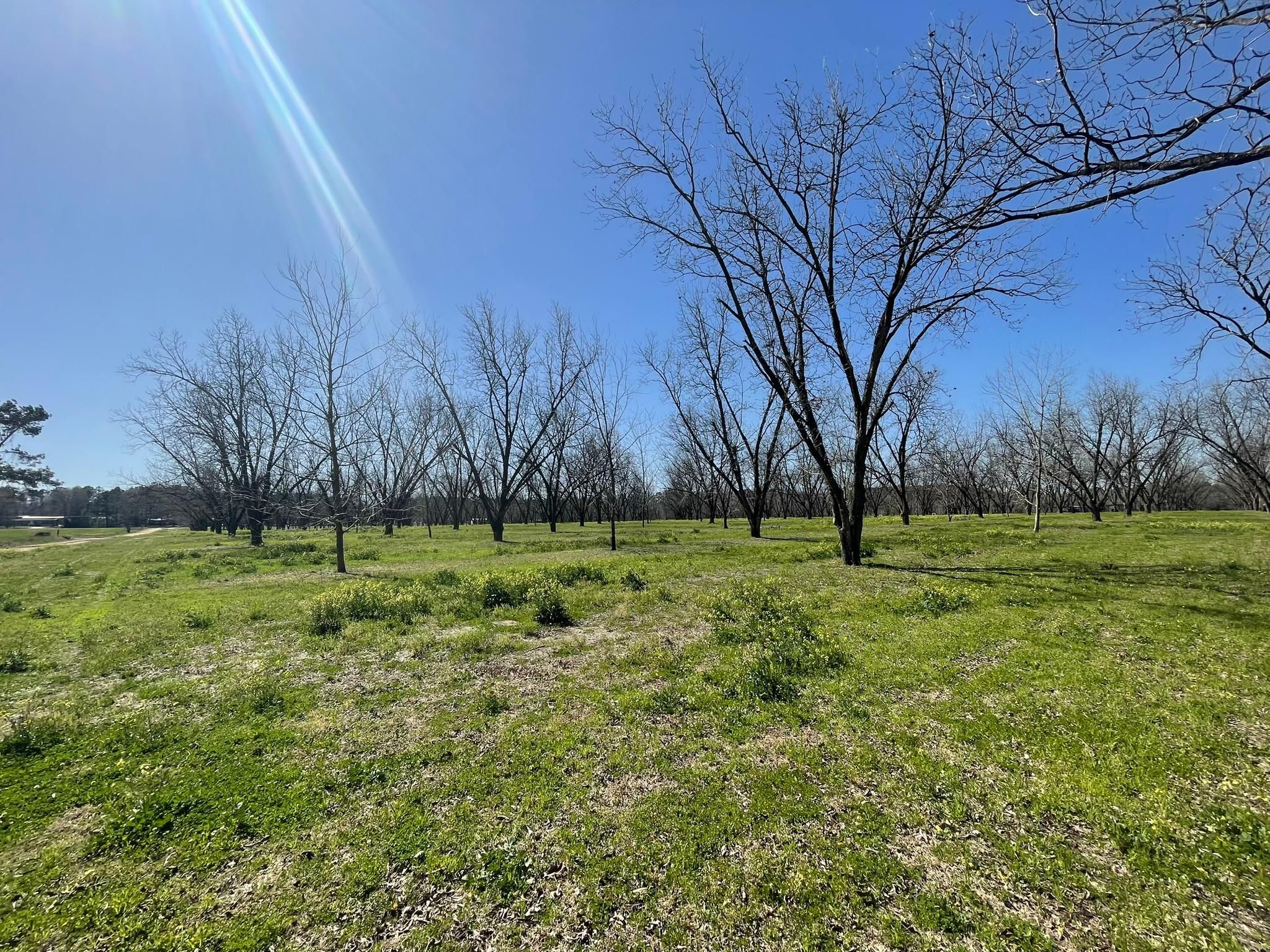 United States, Thomasville, GA 31757 MLS A922910A LandWatch