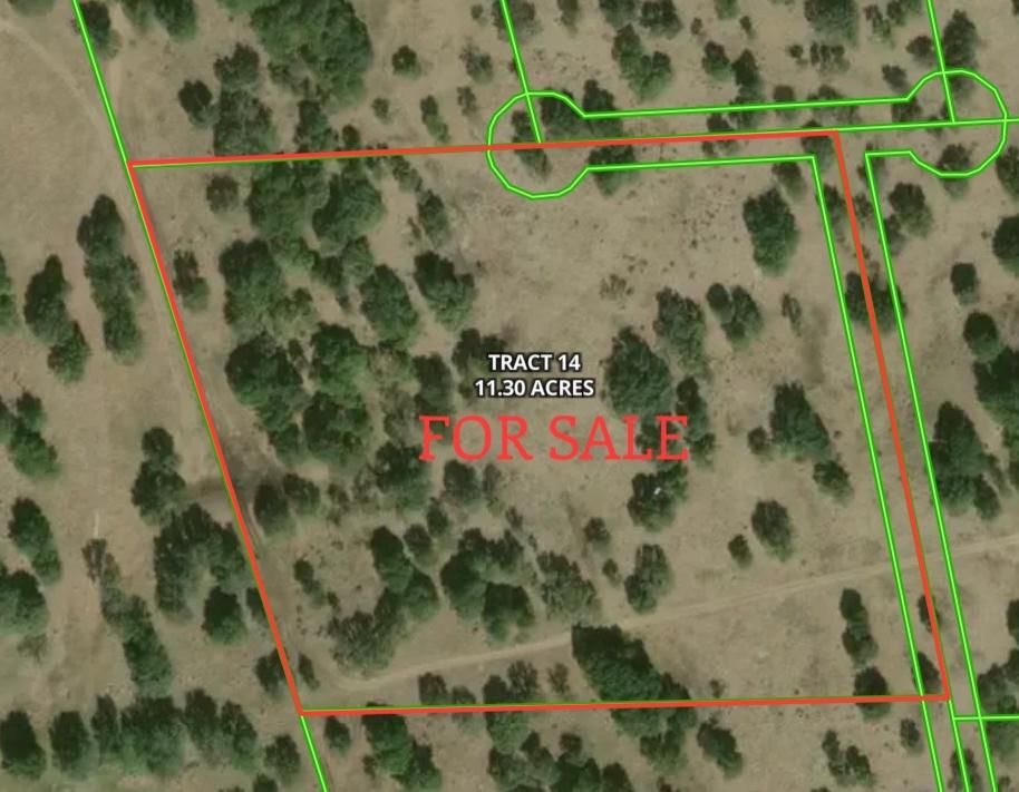 11.3 acres in Harper, TX, 78631 MLS Exotics/Amazing Oaks/Great Texas