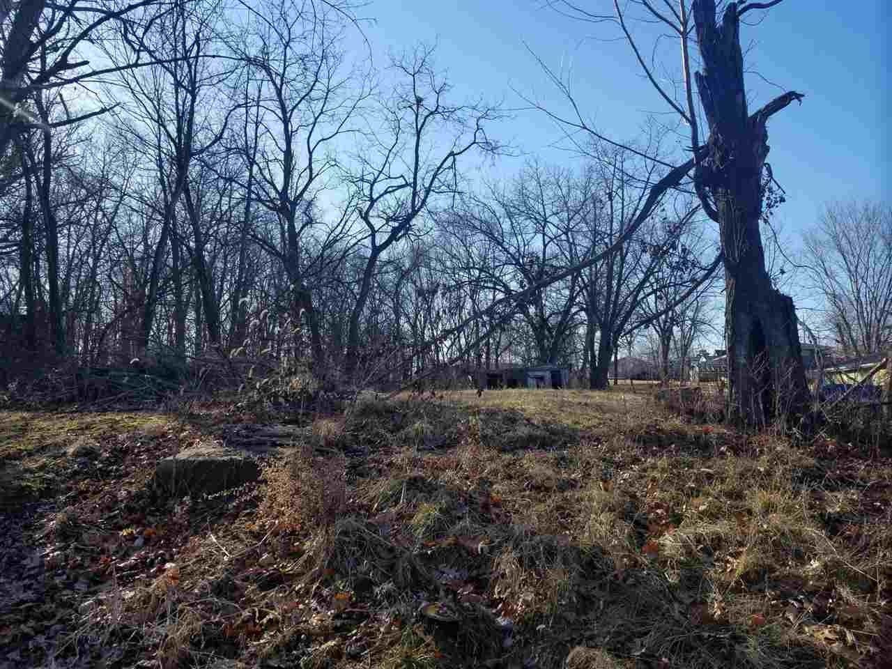 Cairo, Louisa County, IA Undeveloped Land, Homesites for sale Property