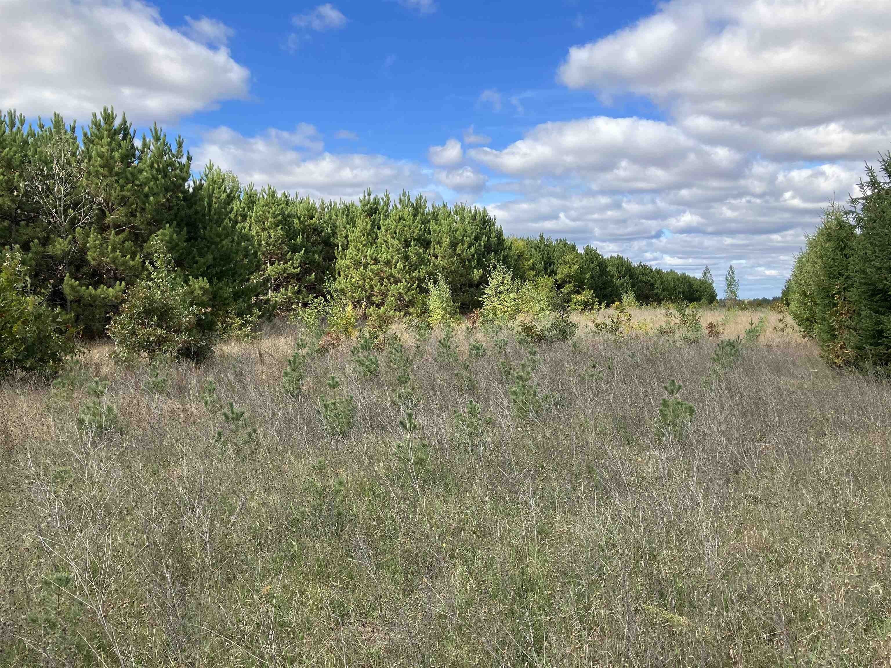 N BEACH Street, Plainfield, WI 54966 MLS 50287460 LandWatch