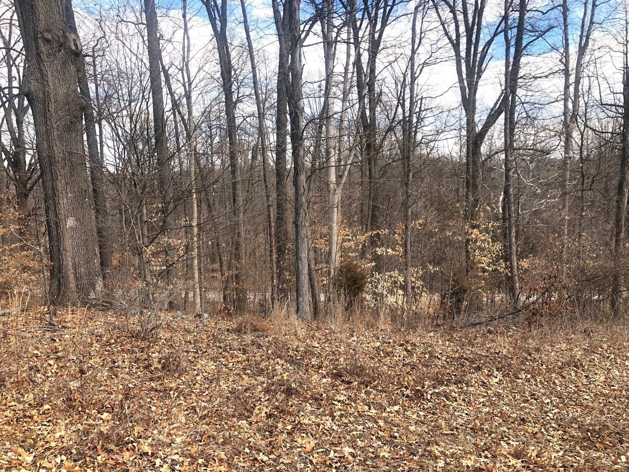 Poland, Owen County, IN Undeveloped Land for sale Property ID