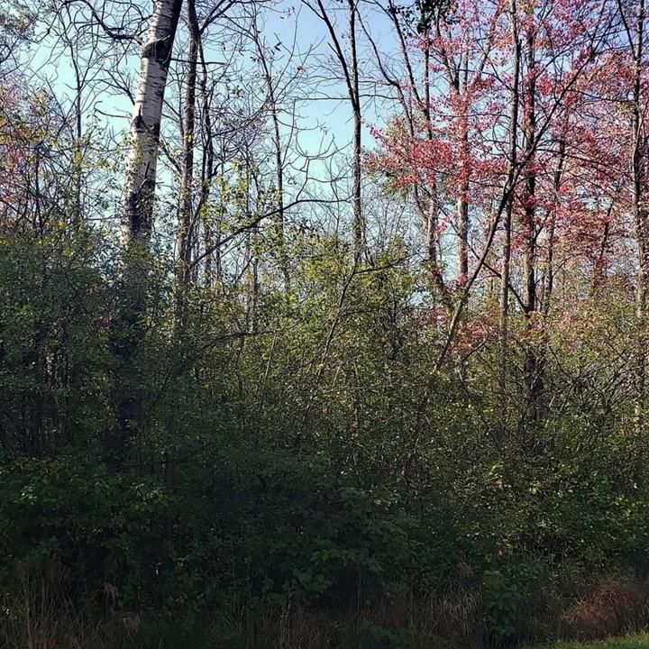 County, WI Undeveloped Land for sale Property ID