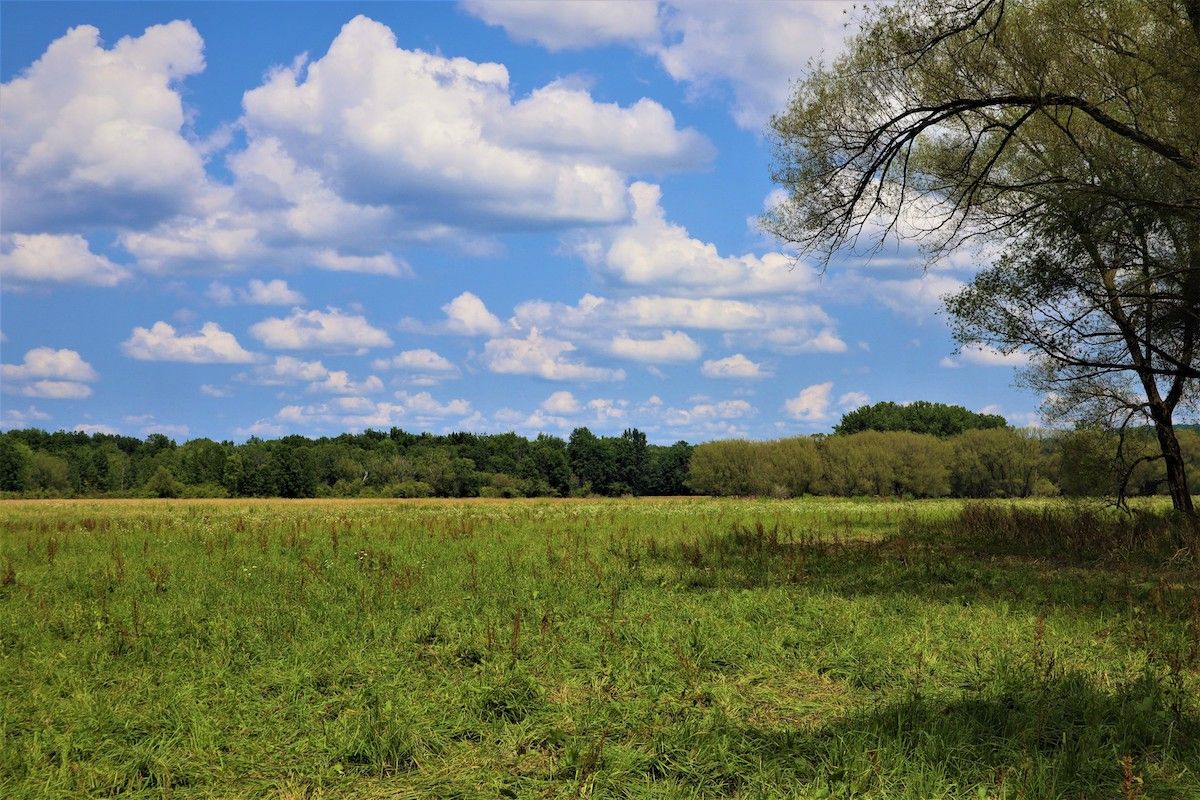 VL Cowens Corners Rd, LotWP001, Conewango Valley, NY 14726 MLS