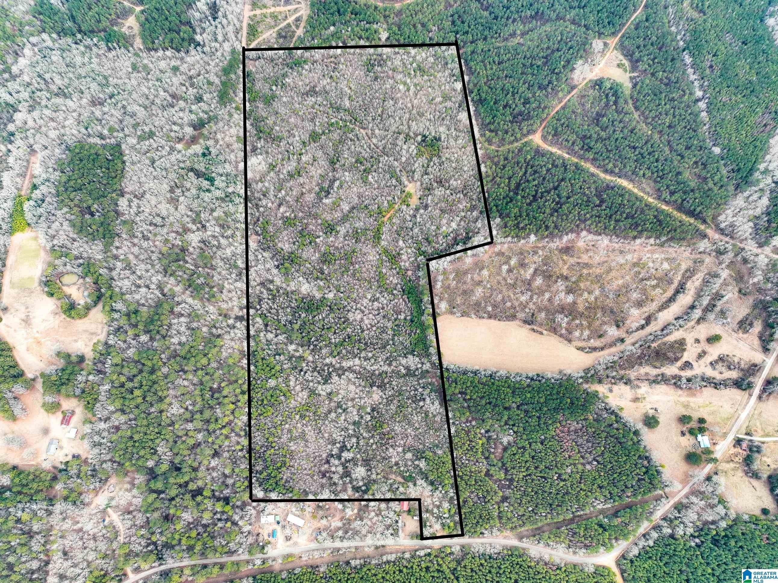 Randolph, Bibb County, AL Undeveloped Land for sale Property ID