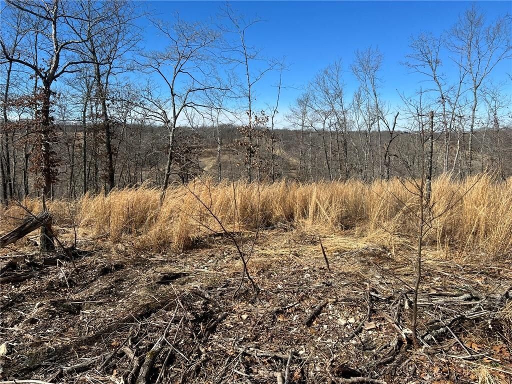 Kansas, Delaware County, OK Undeveloped Land for sale Property ID