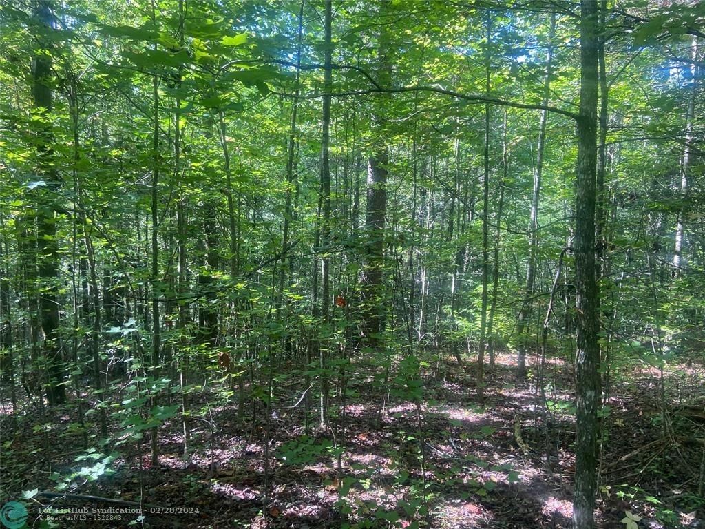 East Ellijay, Gilmer County, GA Lakefront Property, Waterfront Property