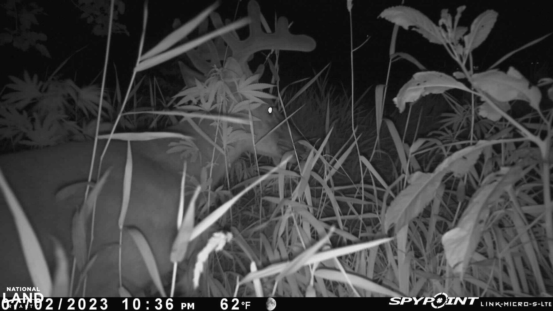 0 315th St., Hamburg, IA 51640 LandWatch