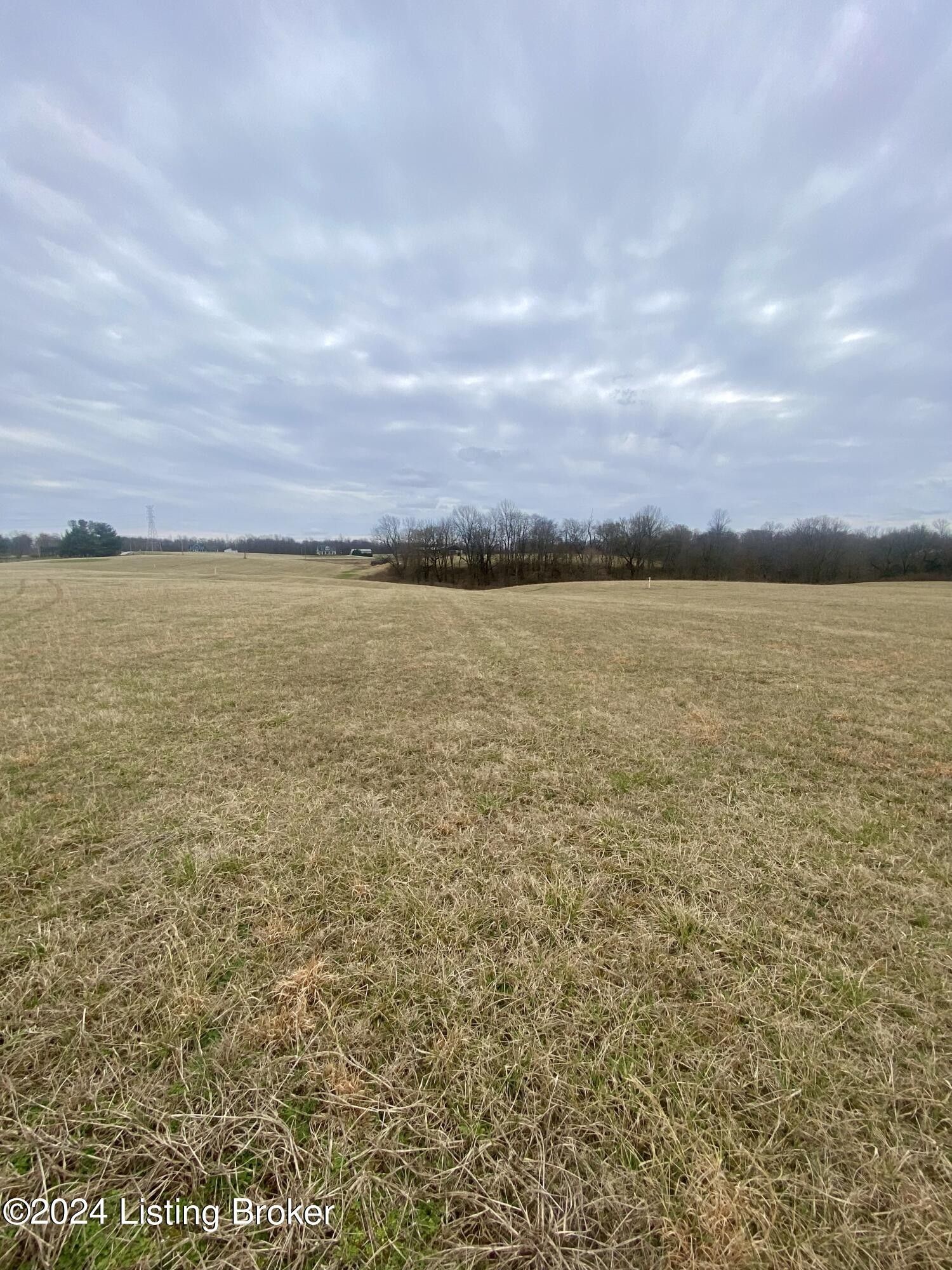 Hodgenville, Larue County, KY Undeveloped Land for sale Property ID