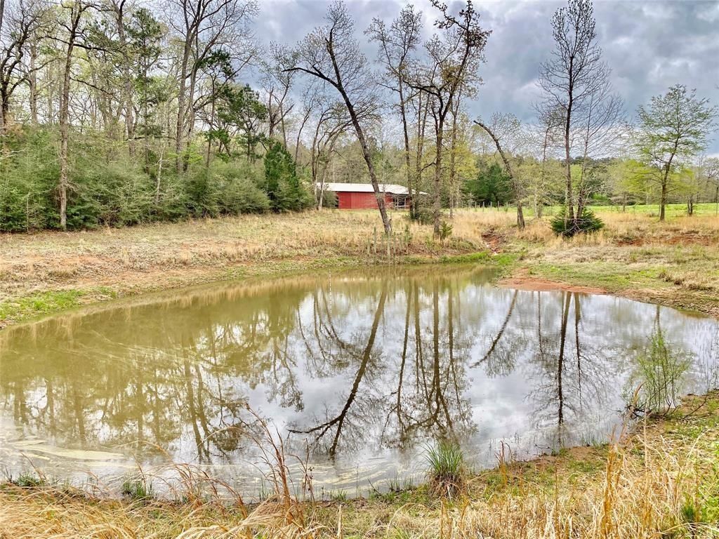 Colmesneil, Tyler County, TX Farms and Ranches, Recreational Property