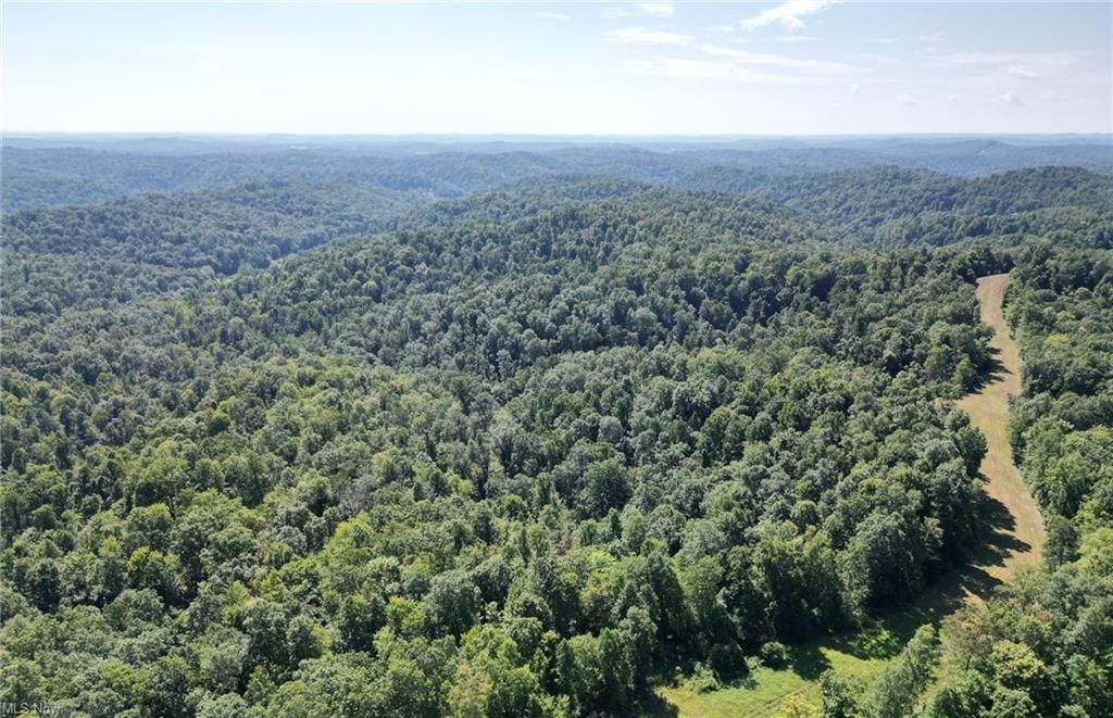 Ellenboro, Pleasants County, WV Undeveloped Land for sale Property ID