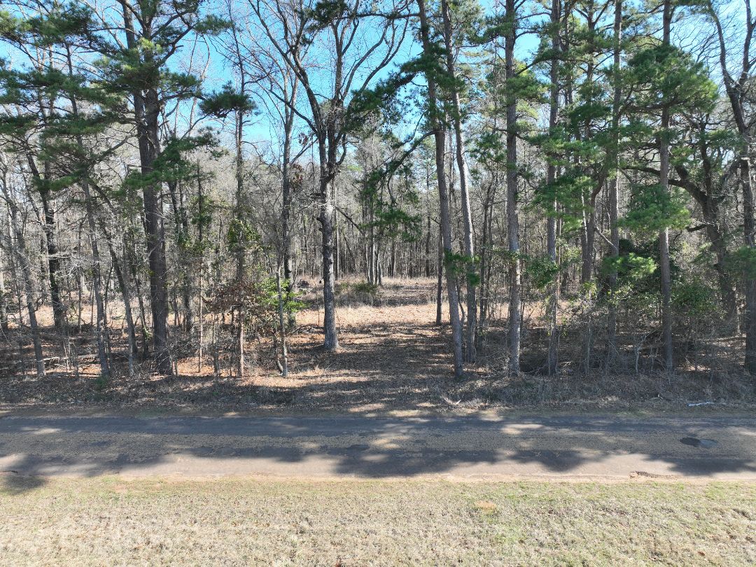 County Road 1599, Avinger, TX 75630 LandWatch