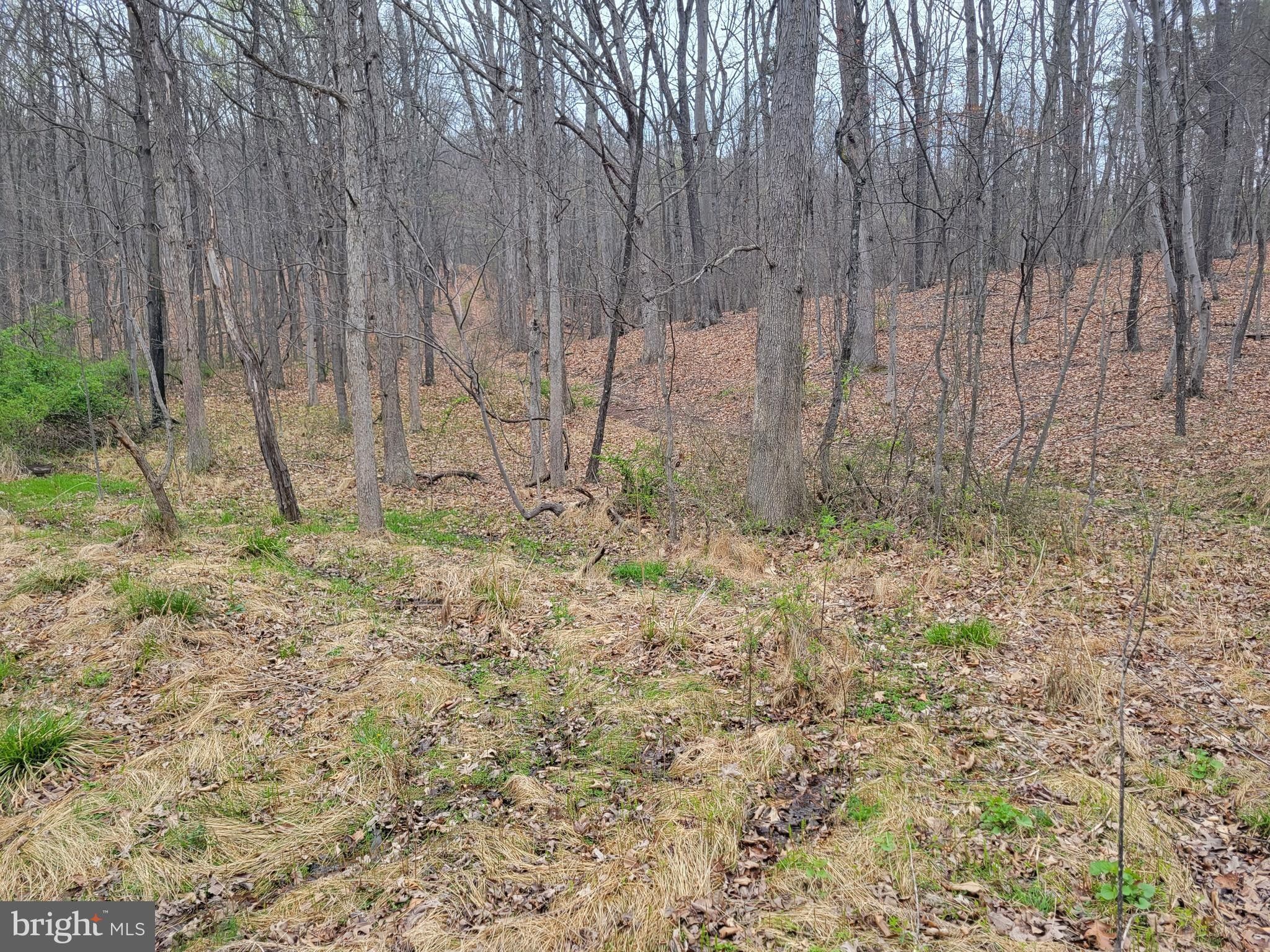 PIN OAK ROAD, Paw Paw, WV 25434 MLS WVHS2004298 LandWatch