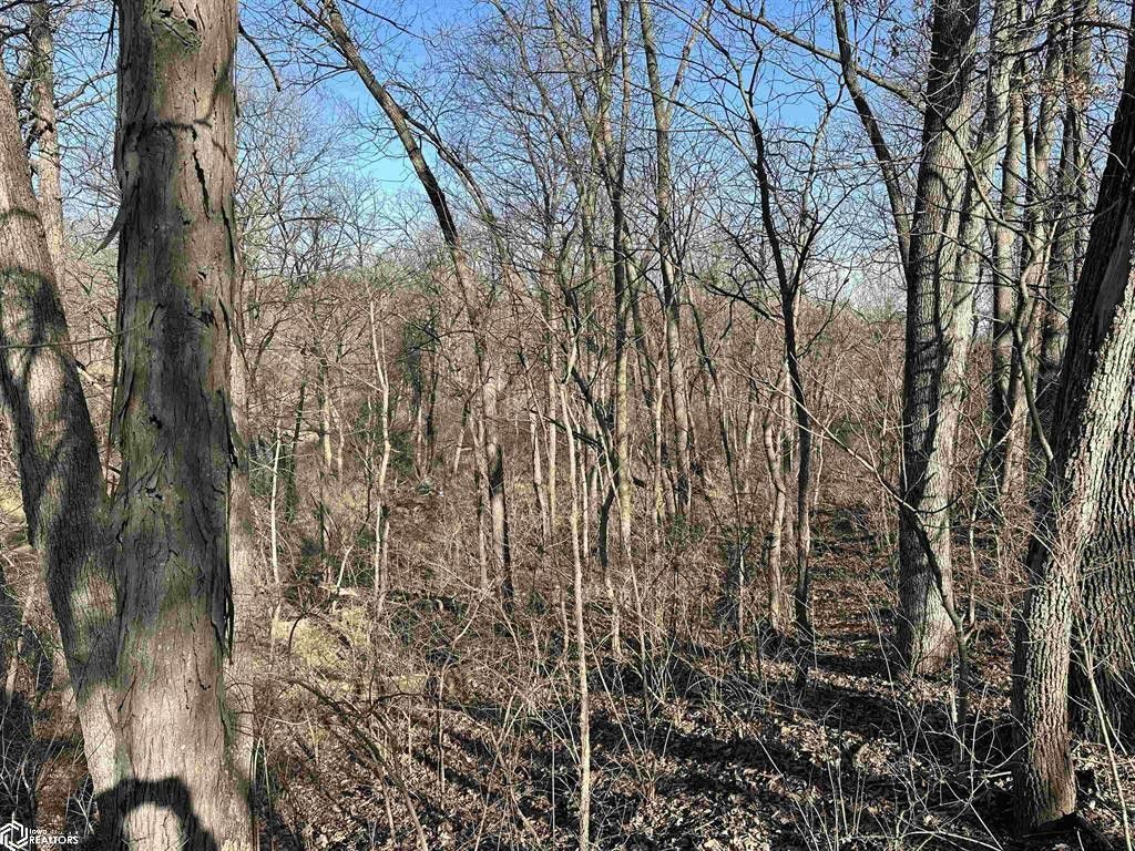 Douds, Van Buren County, IA Undeveloped Land for sale Property ID