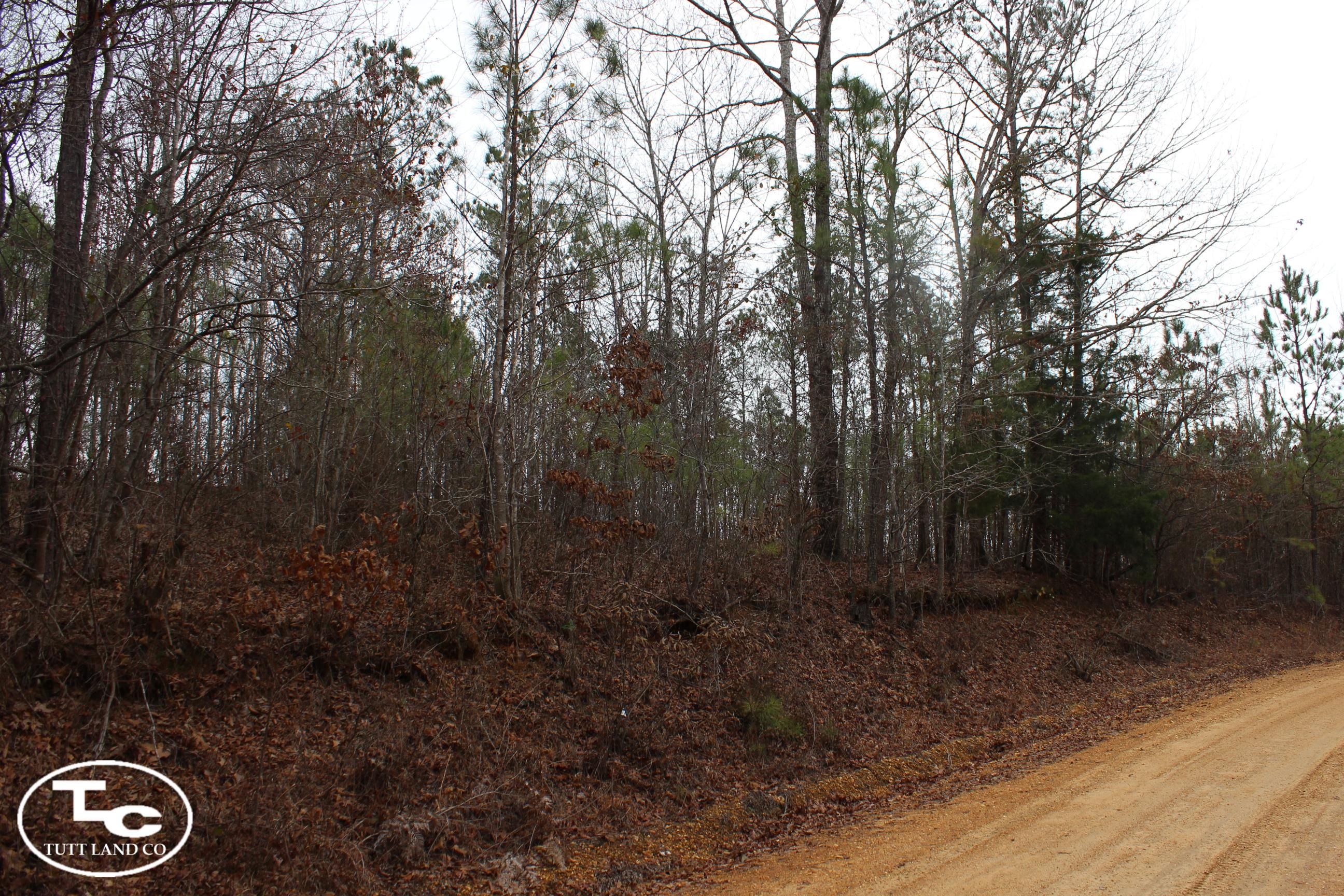 39 acres in Vernon, AL, 35592 LandWatch