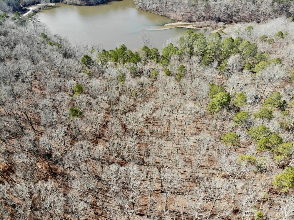 Tallapoosa, Haralson County, GA Recreational Property, Riverfront