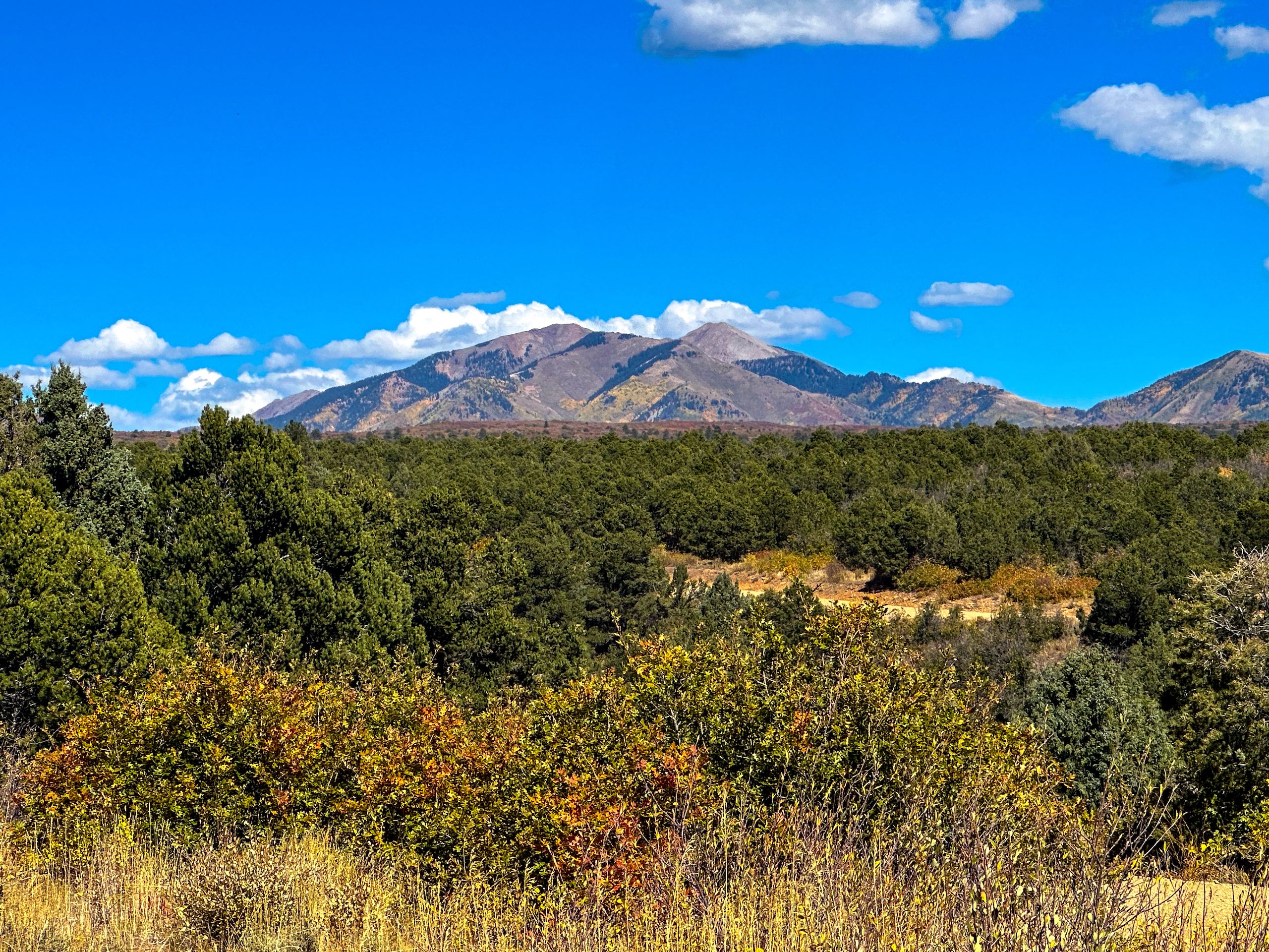 Hesperus, La Plata County, CO Farms and Ranches, Hunting Property for