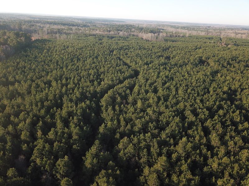 Highway 2A Lot Wp001, Bernice, LA 71222 LandWatch