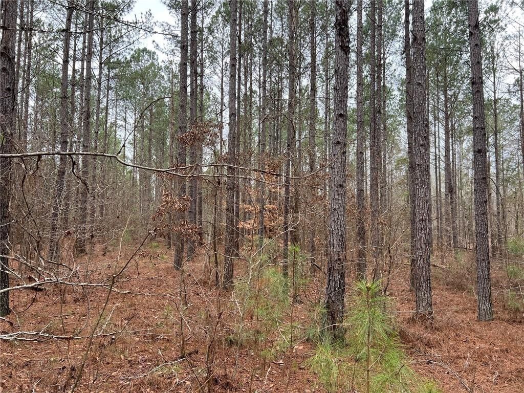 000 PINKSTON LANE, Dadeville, AL 36853 MLS 168986 LandWatch