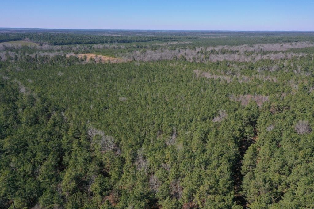 40 acres in Fordyce, AR, 71742 MLS 5082 Ramsey LandWatch