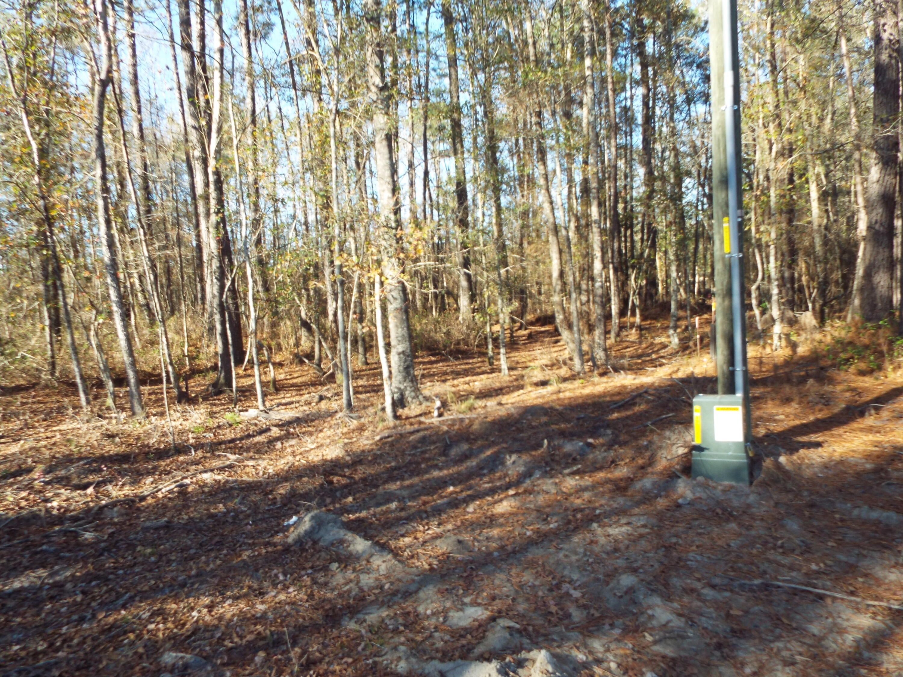 Saint Stephen, Berkeley County, SC Undeveloped Land, Homesites for sale