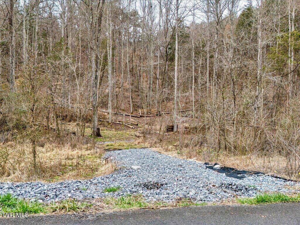 Bybee, Cocke County, TN Undeveloped Land for sale Property ID