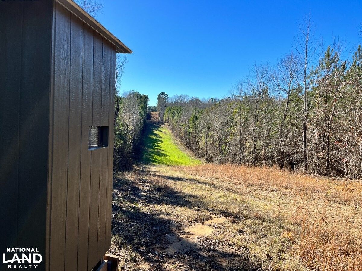 Lauderdale, Lauderdale County, MS Recreational Property, Timberland