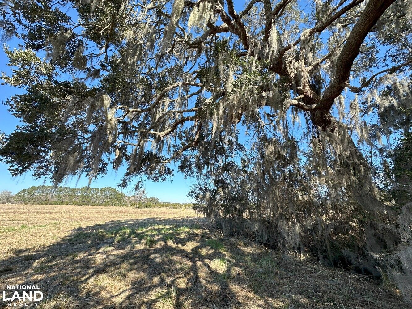 6716 Ethel Post Office, Meggett, SC 29449 LandWatch