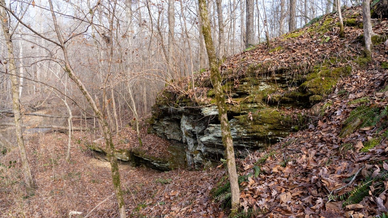 89.45 acres in Fruithurst, AL, 36262 LandWatch