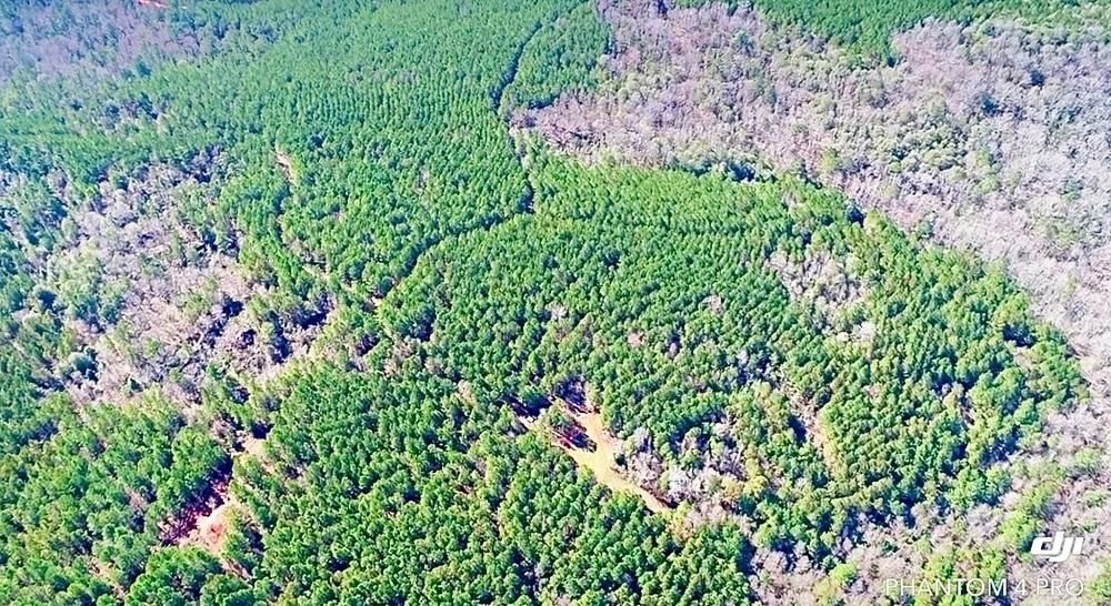 336 acres in Irwinton, GA, 31042 LandWatch