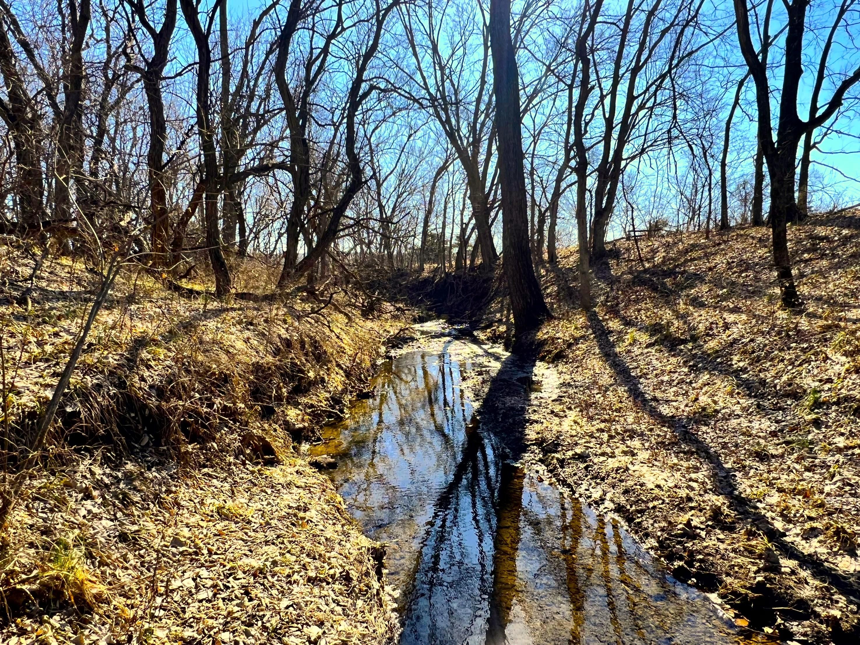 Lawrence, Douglas County, KS for sale Property ID 419033362 LandWatch