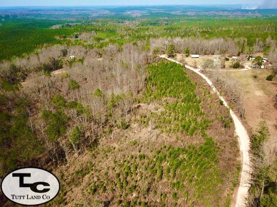 44 acres in Minter, AL, 36761 LandWatch