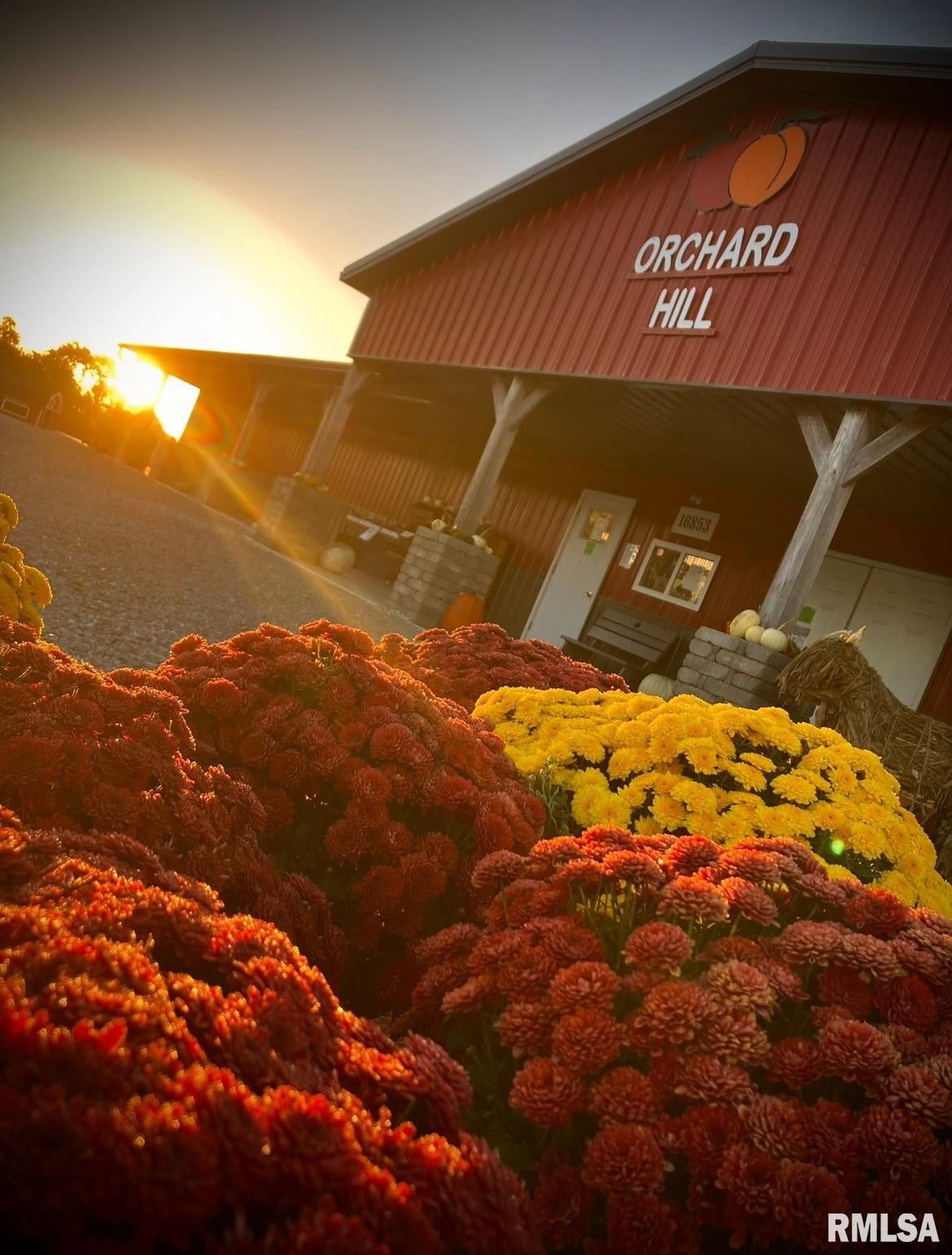 Lewistown, Fulton County, IL Commercial Property, House for sale