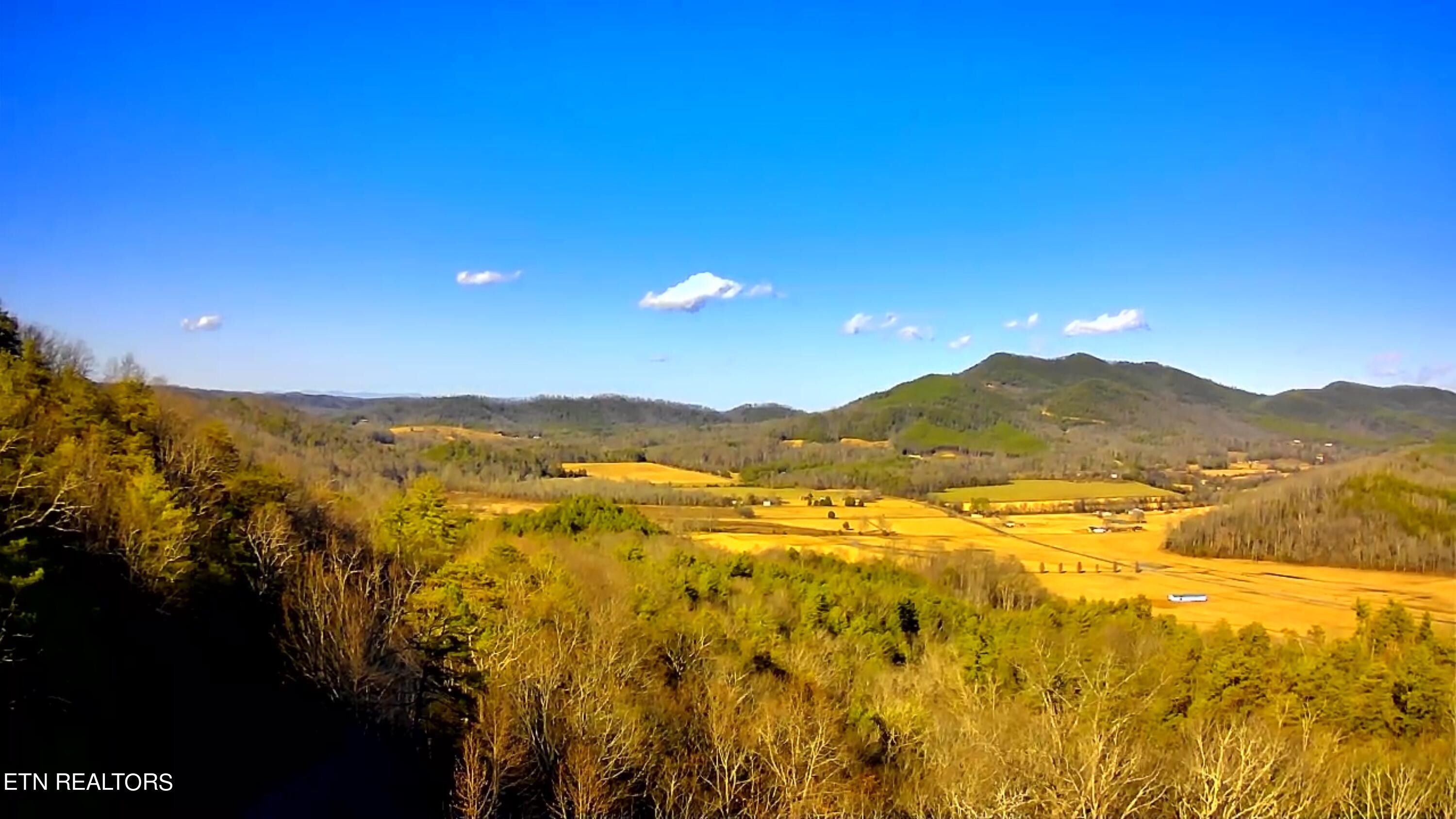 Tellico Plains, Monroe County, TN Undeveloped Land for sale Property ID