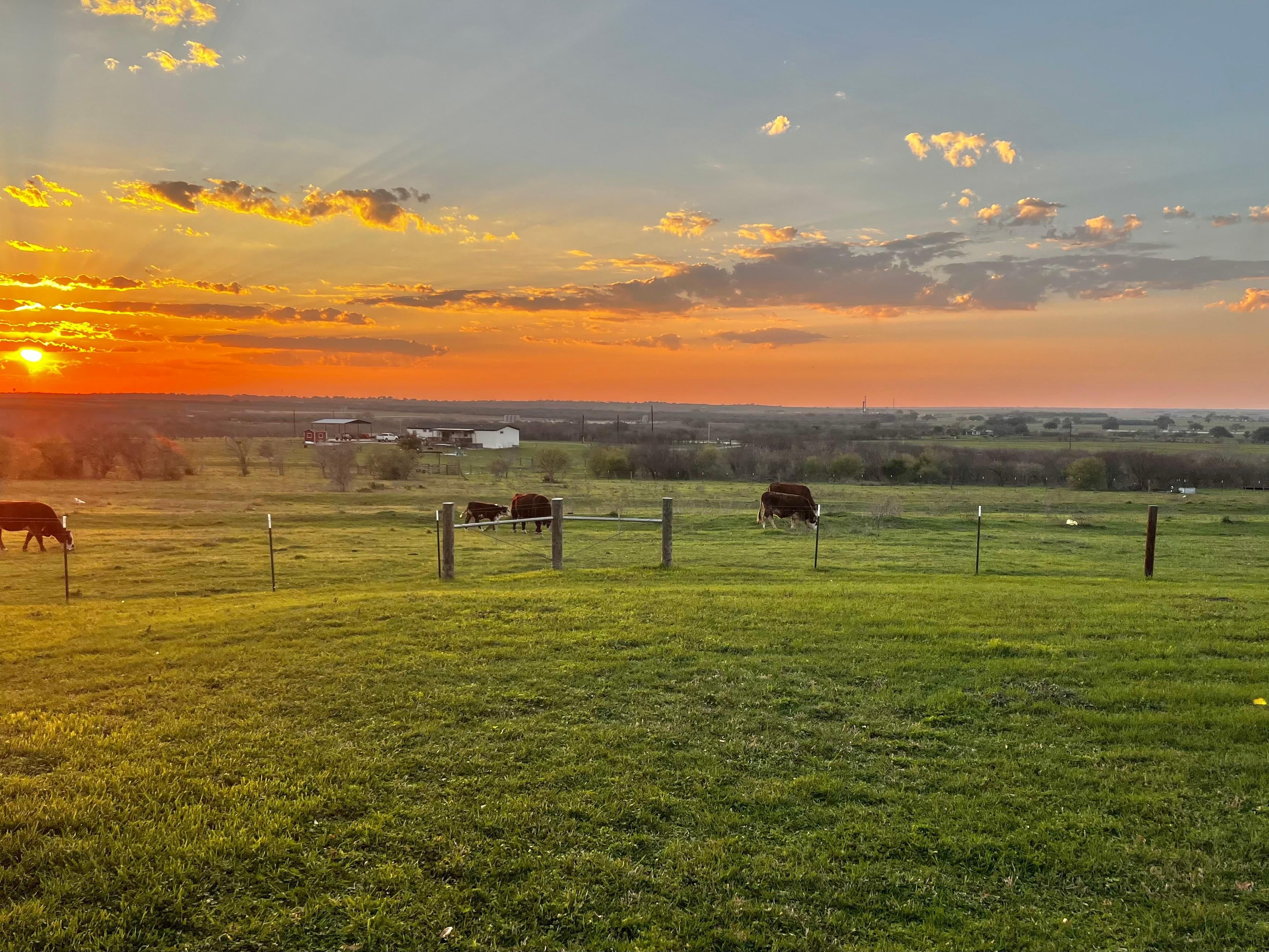 258 County Rd 351, Karnes City, TX 78118 MLS 1754786 LandWatch