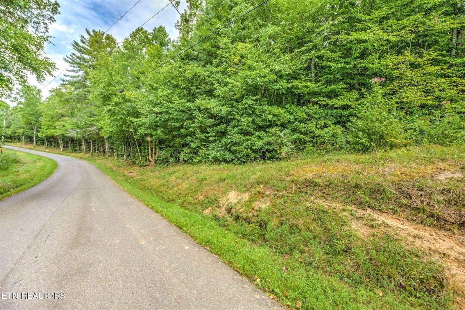 Wartburg, County, TN Undeveloped Land for sale Property ID