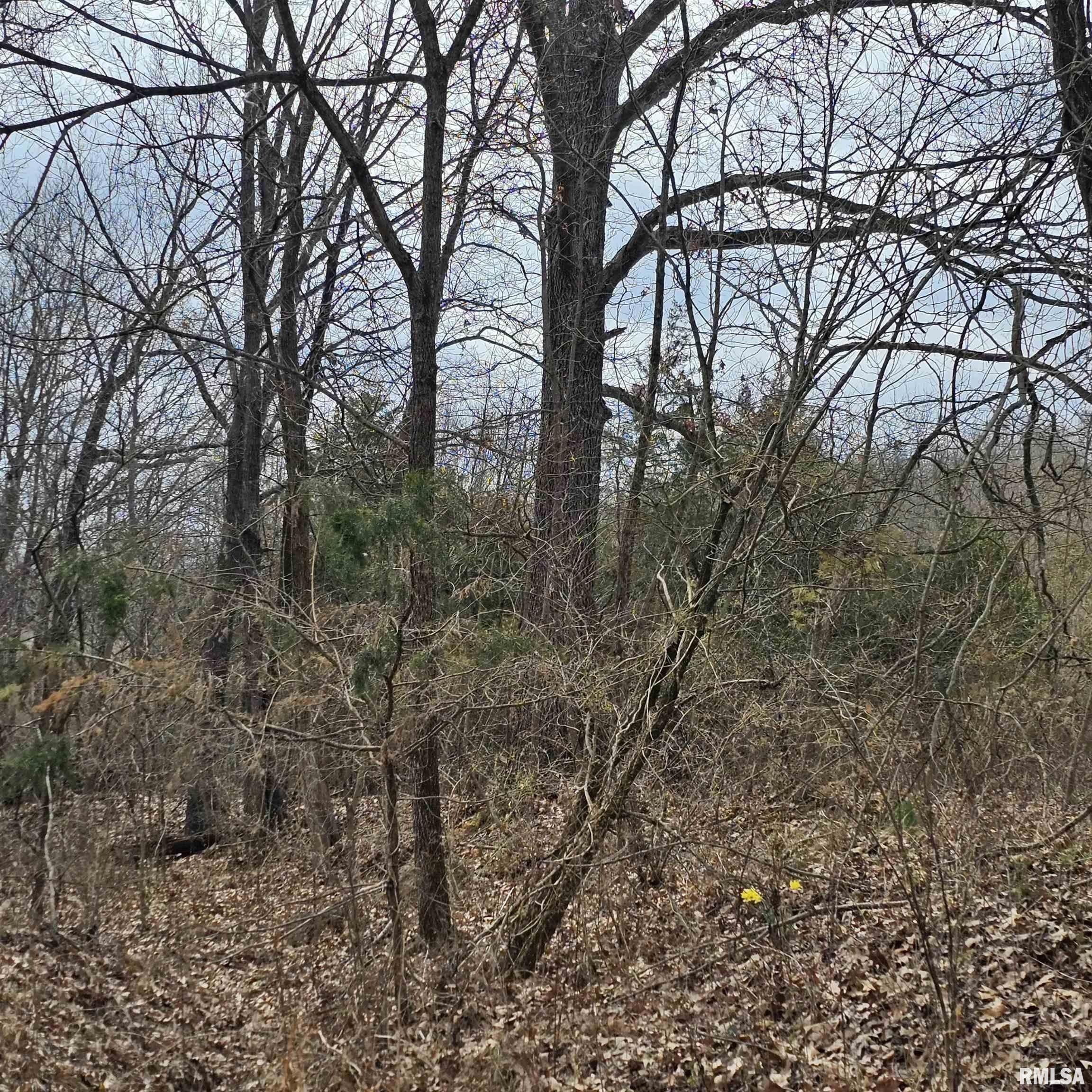 Harrisburg, Saline County, IL Undeveloped Land, Homesites for sale