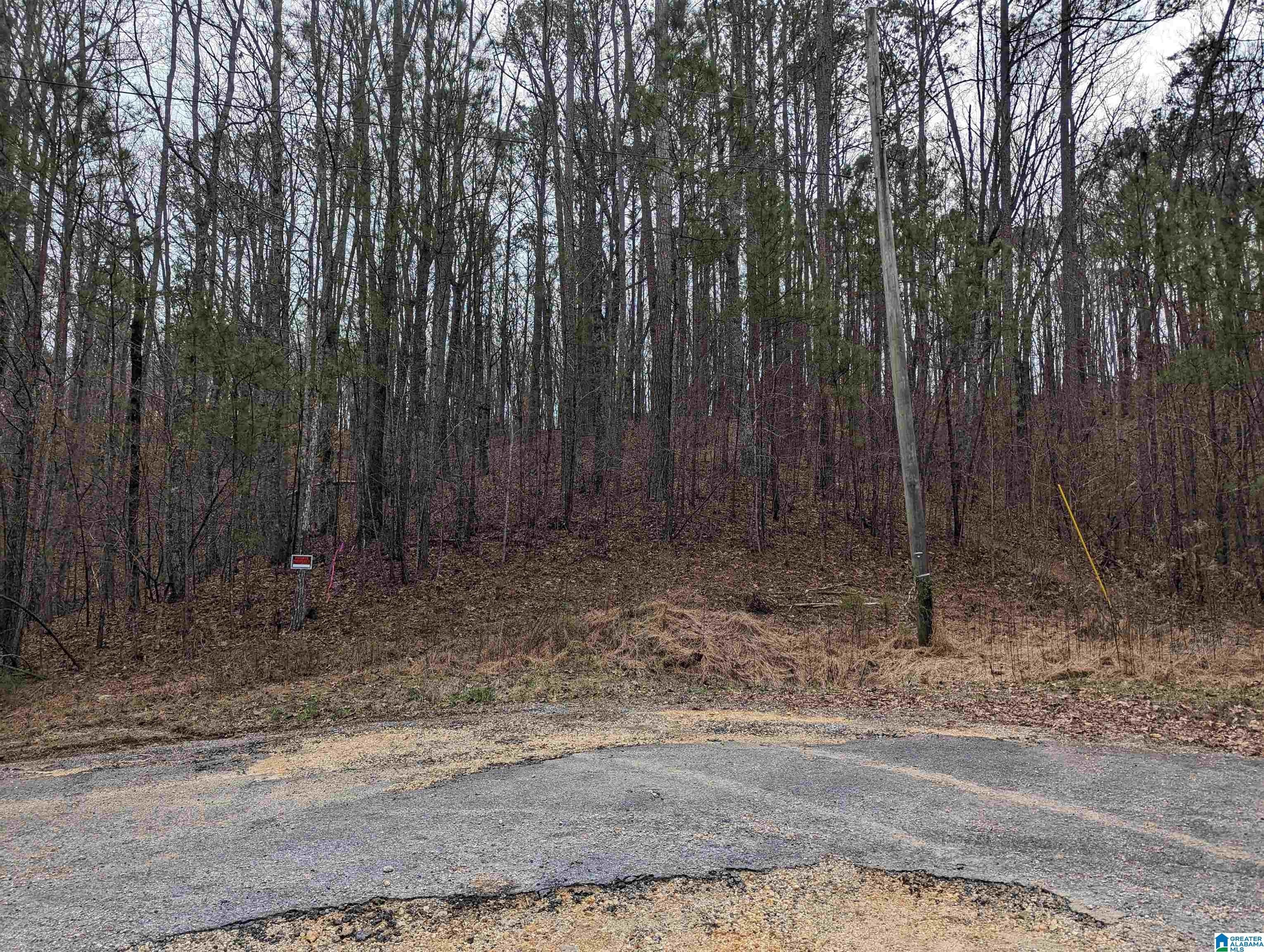 Odenville, Saint Clair County, AL Undeveloped Land for sale Property ID