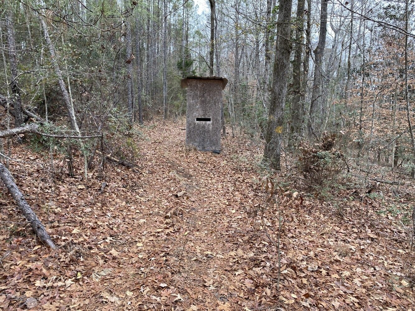 Ararat, Choctaw County, AL Undeveloped Land for sale Property ID